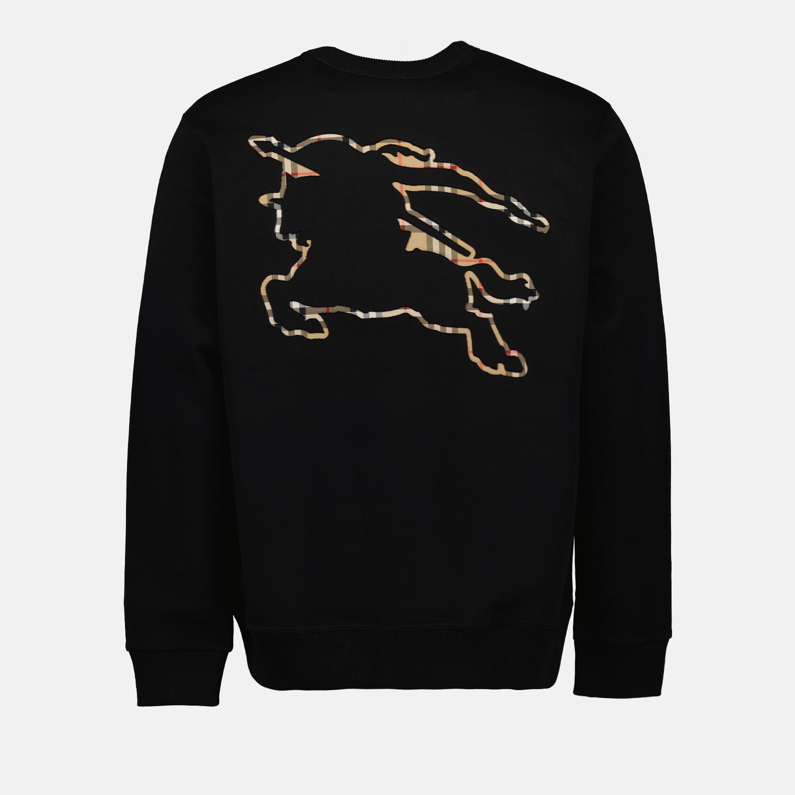 Cavalier sweatshirt