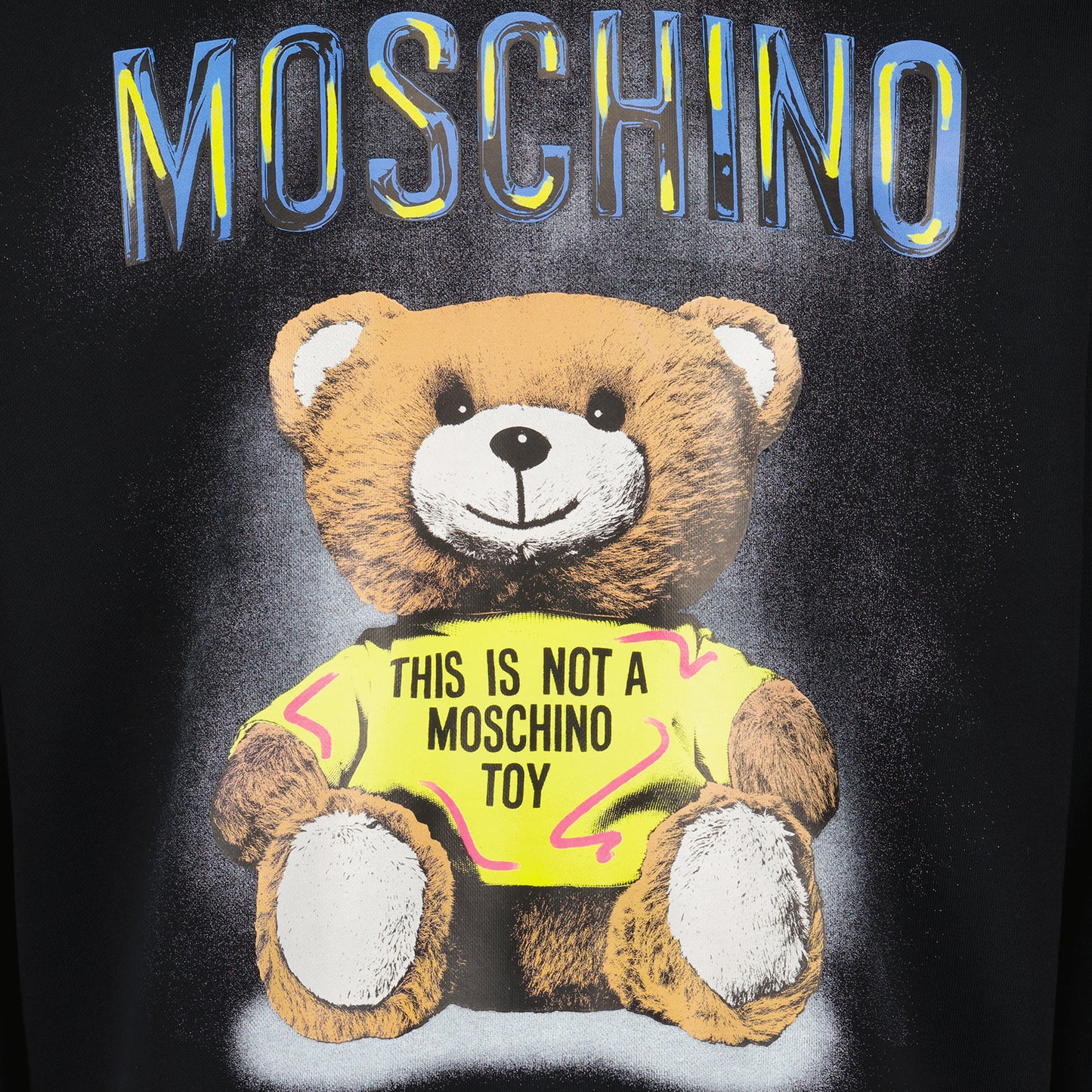 Sweatshirt Teddy Bear