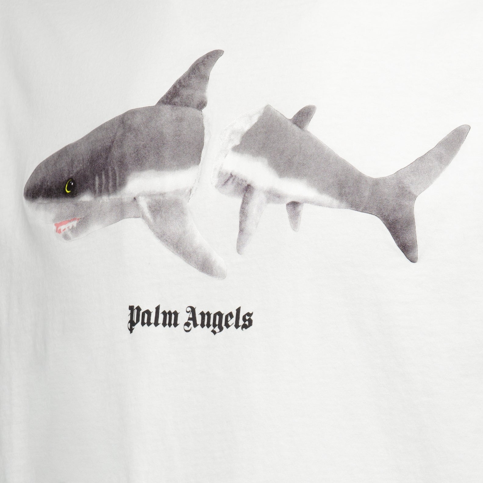 Broken Shark T-shirt